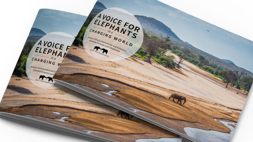 Save the Elephants Case for Support brochure cover